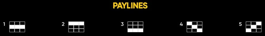 Schematic representation of paylines